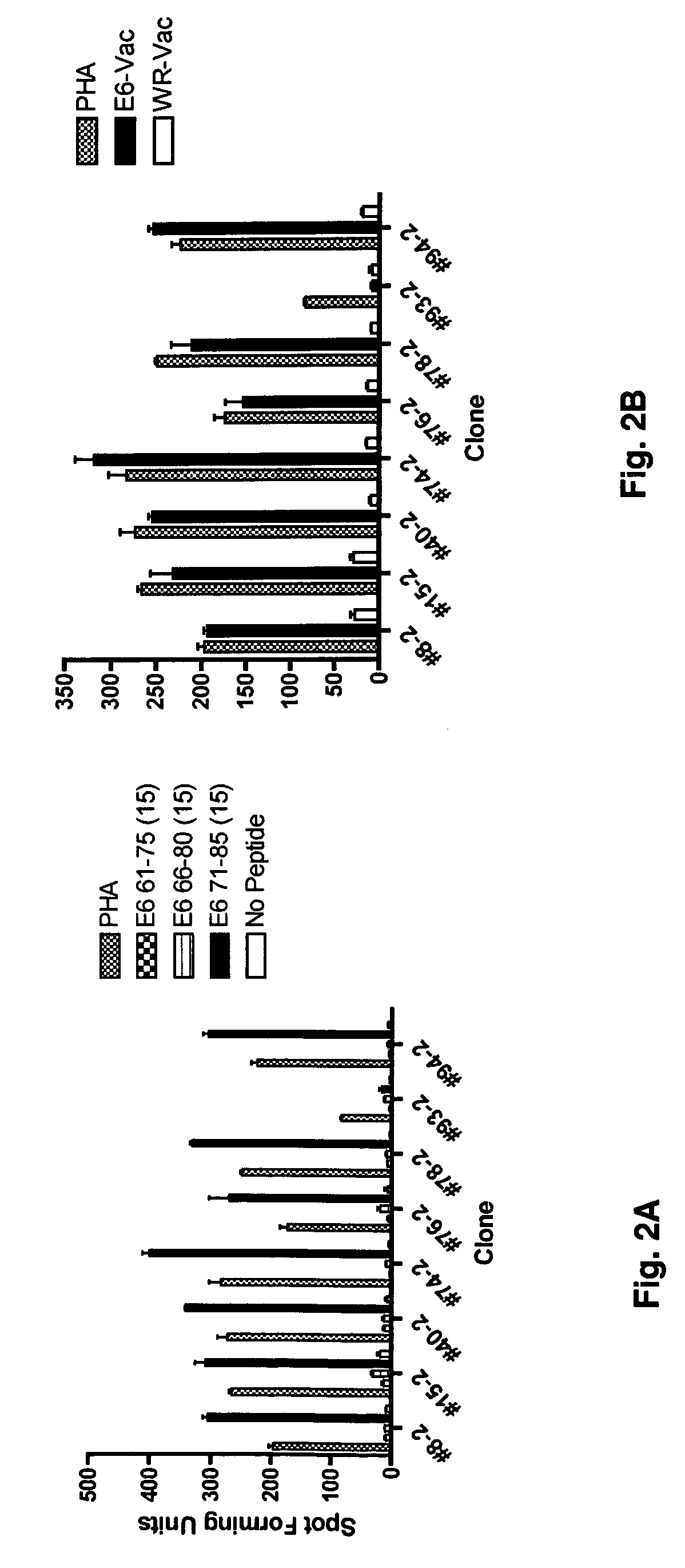 HPV E6 protein T cell epitopes and uses thereof