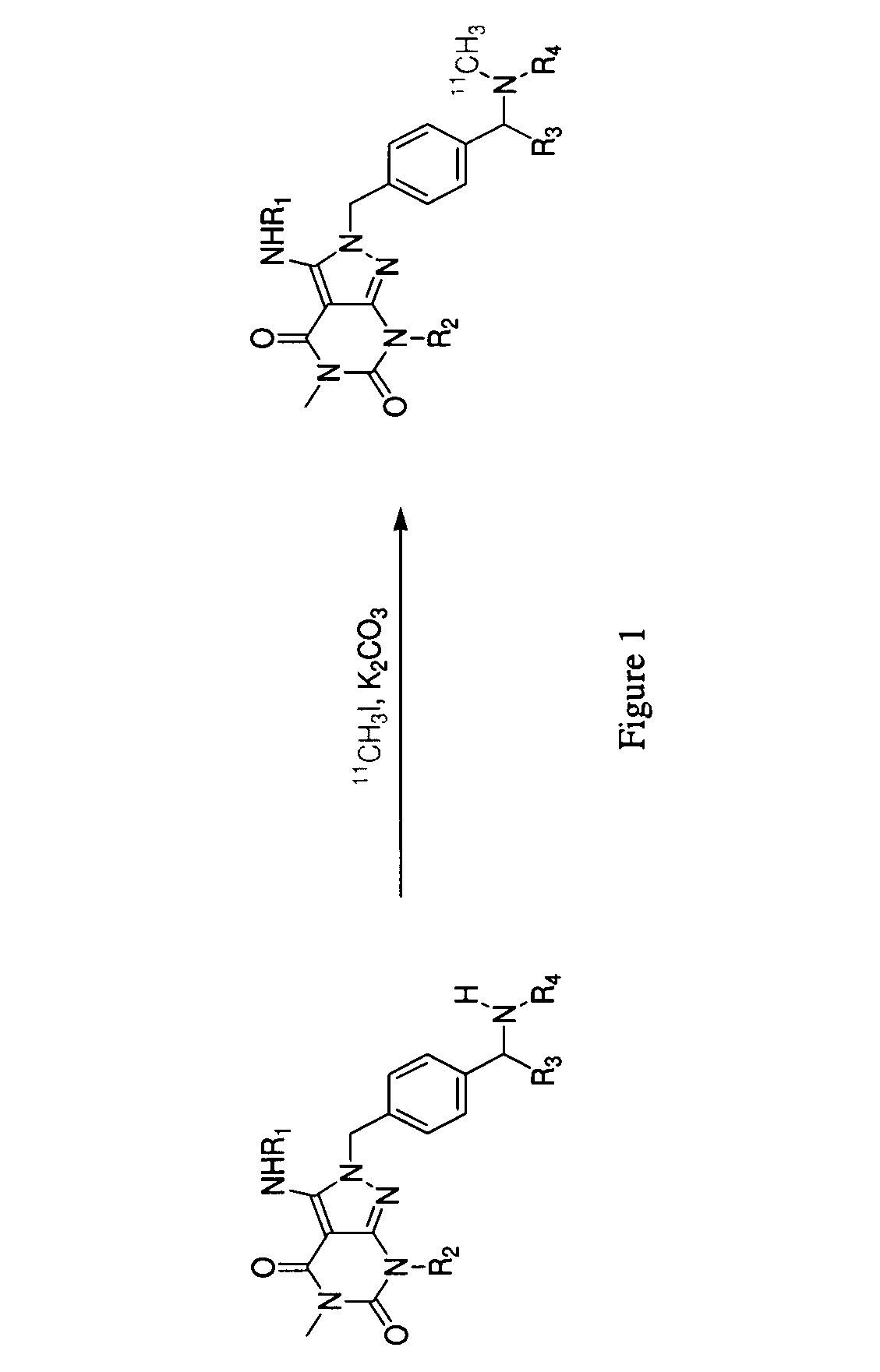 Phosphodiesterase 1-targeting tracers and methods