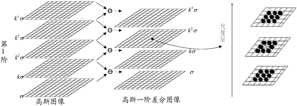 Method and device for calculating passenger vehicle passenger flow congestion degree