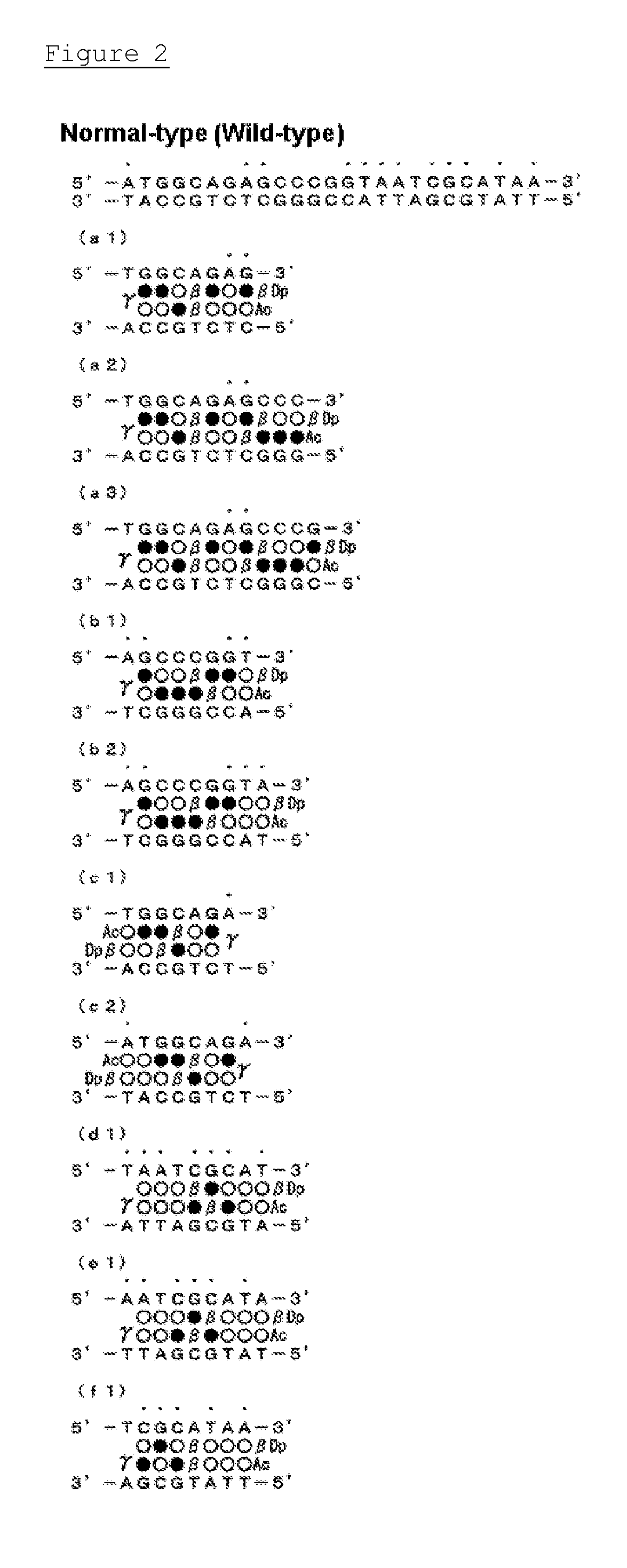 Polyamide compound and pharmaceutical composition for treating mitochondrial genetic disease