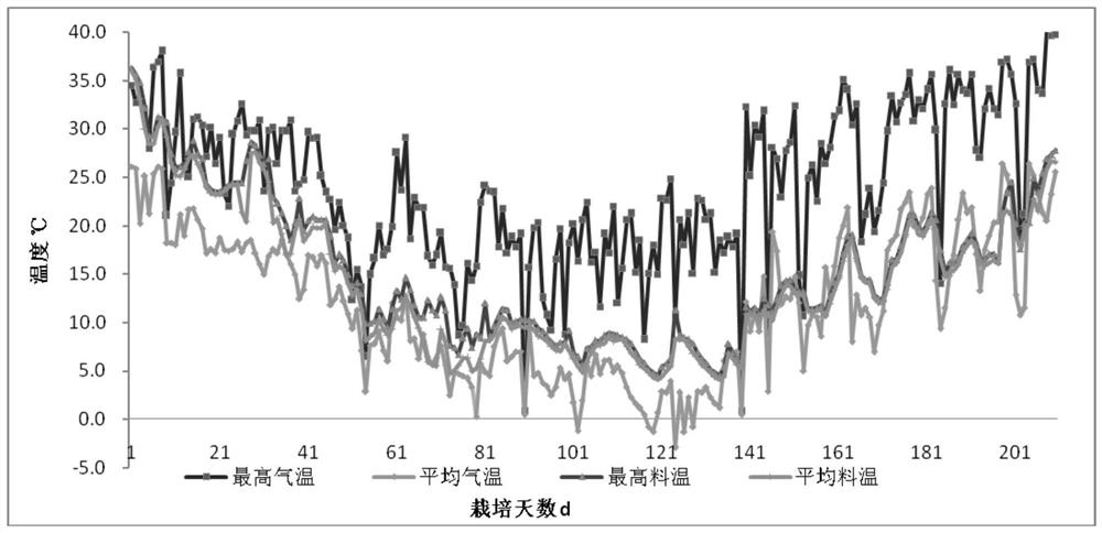 A kind of breeding method of stropharia stropharia high temperature resistant strain