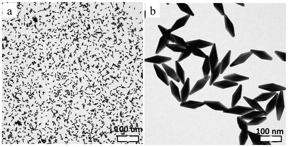 A kind of gold nano bipyramid with quintuple twin structure and preparation method thereof