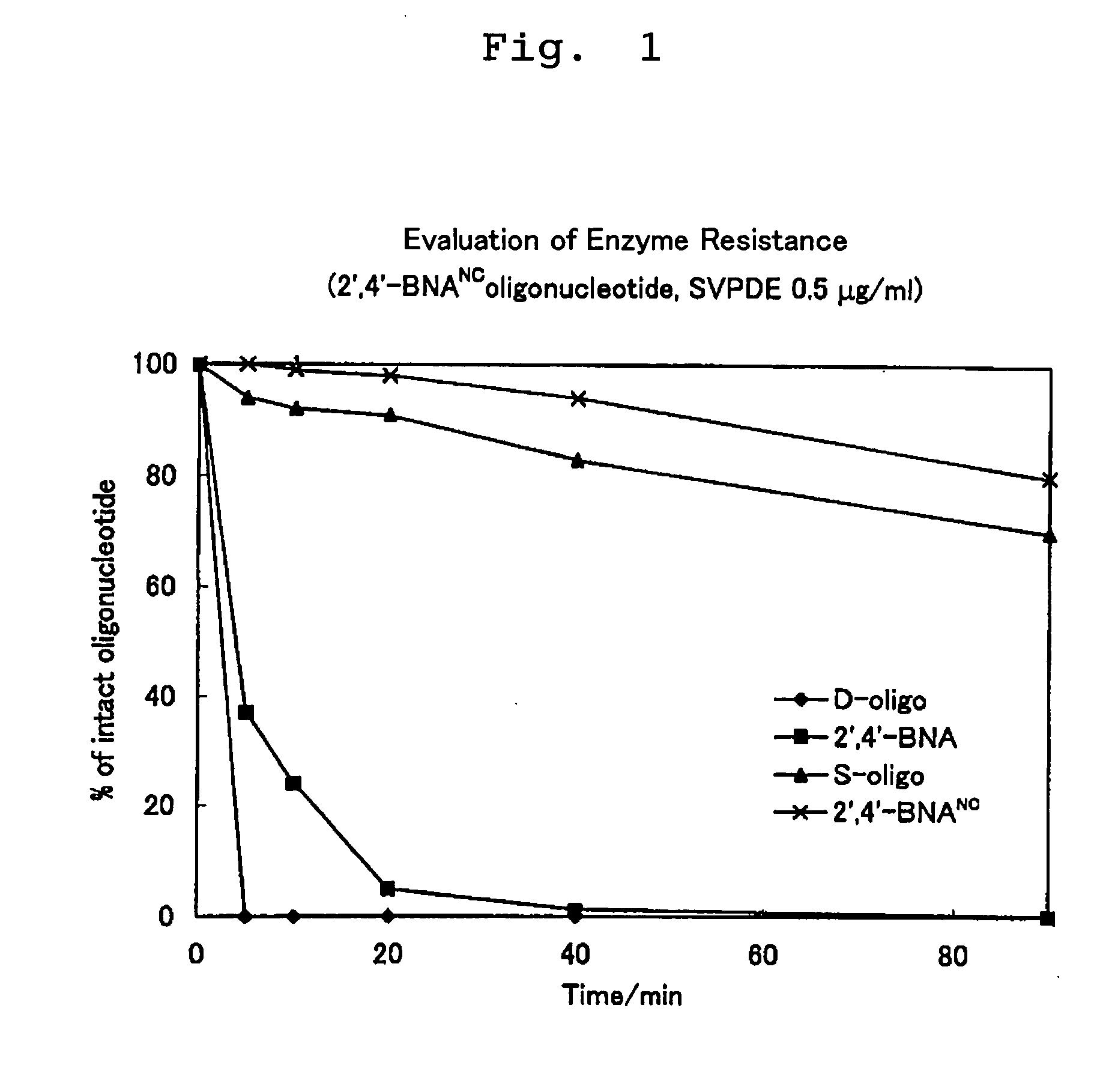 Novel artificial nucleic acids of n-o bond crosslinkage type