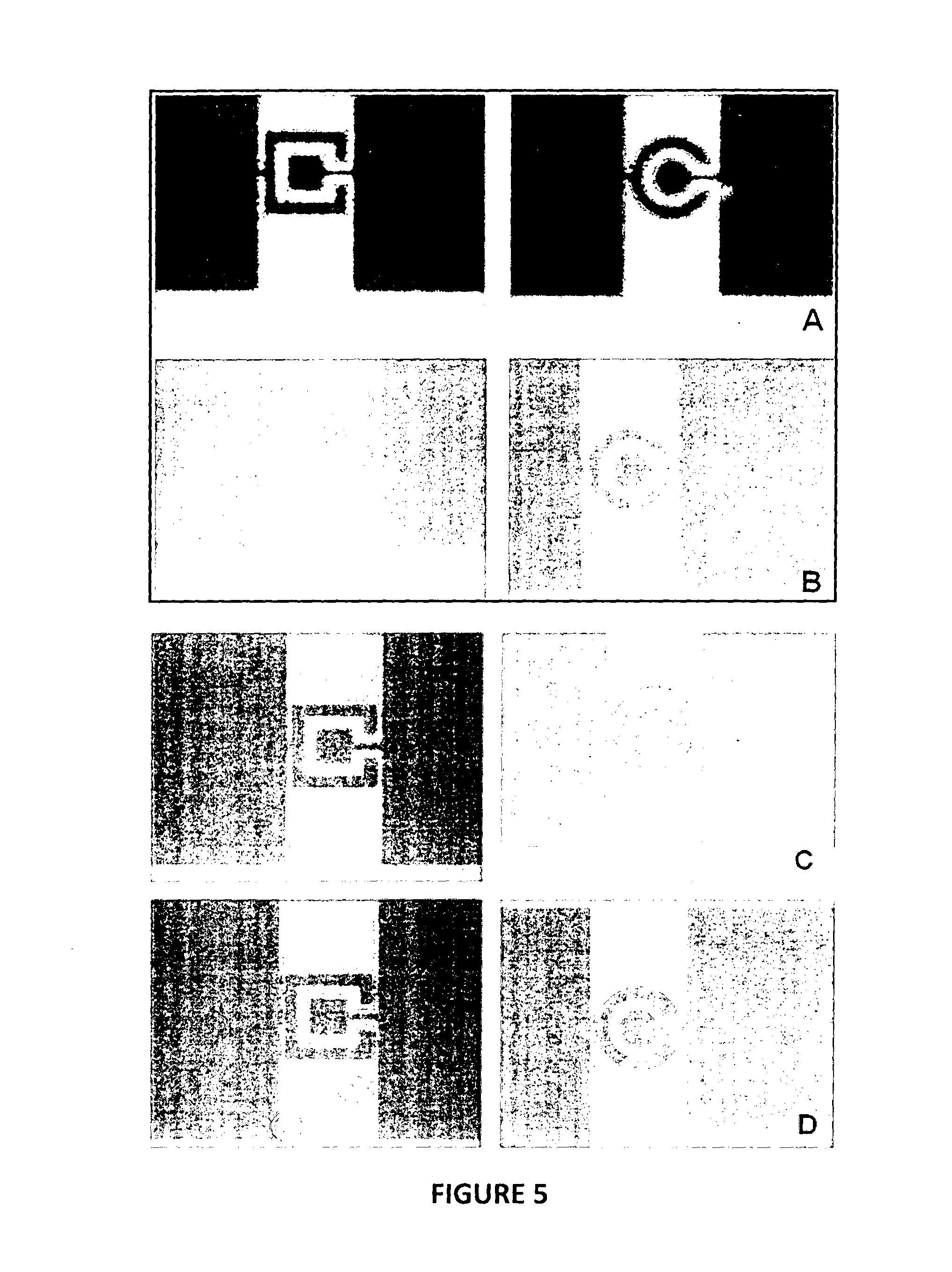 Resist for electron beam and optical lithography