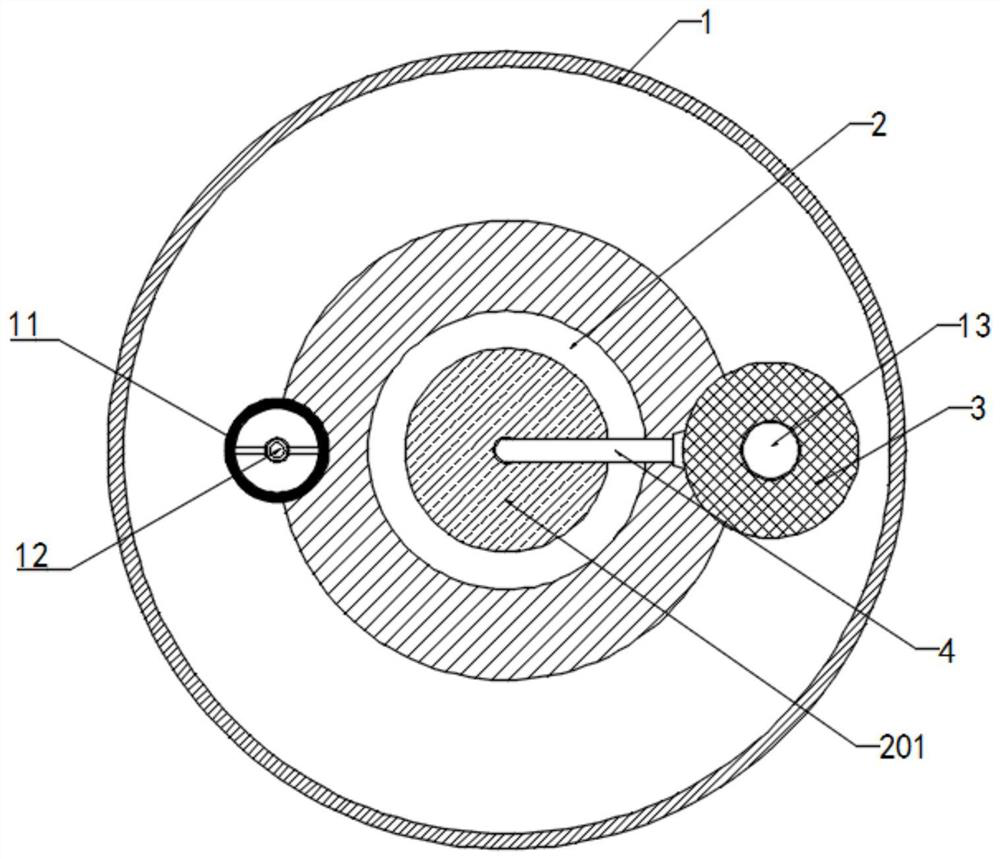 Automatic grading and grain sorting device for selenium-enriched rice processing