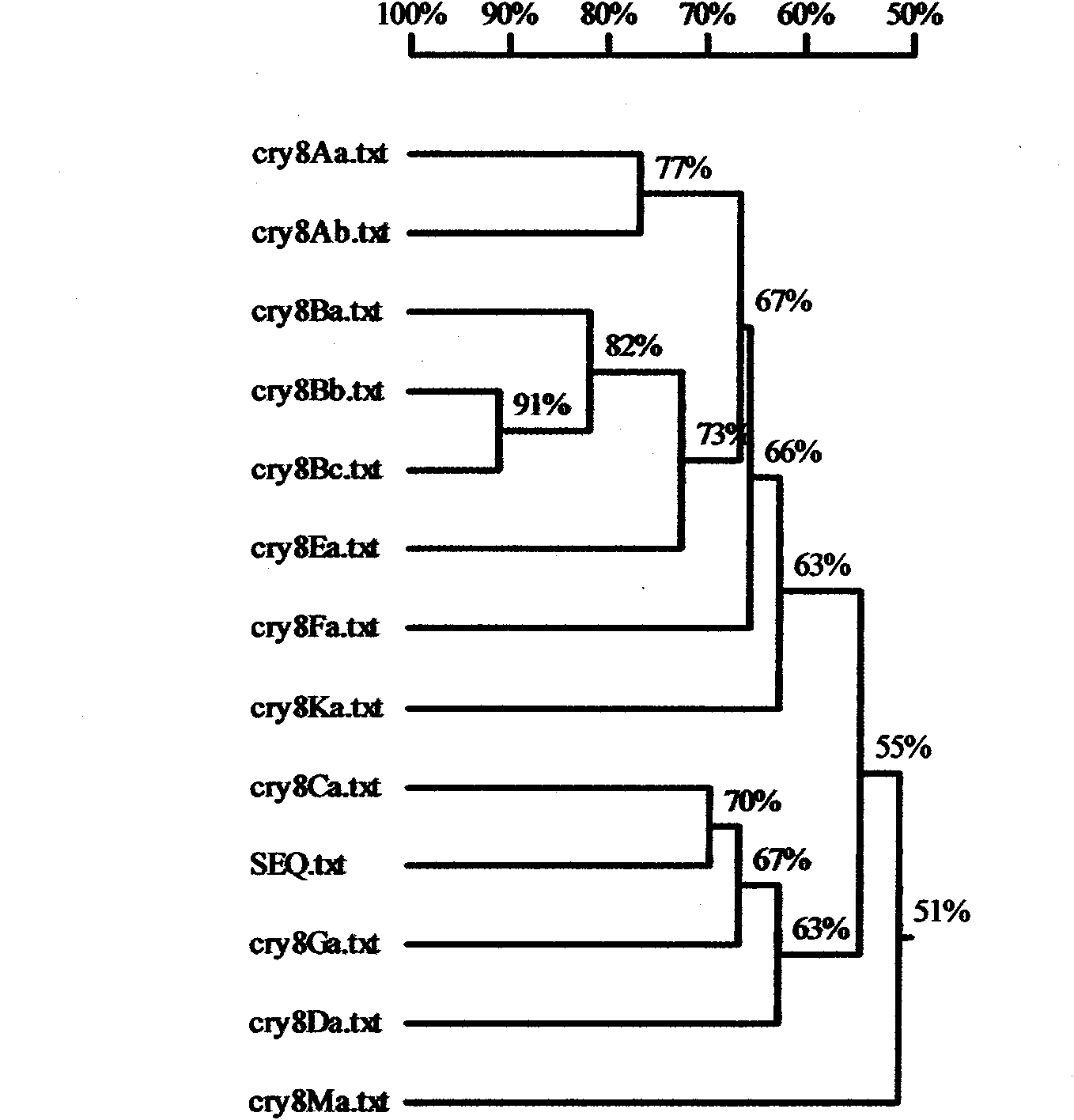 The Cry8Na1 gene of bacillus thuringiensis, expression protein and application thereof