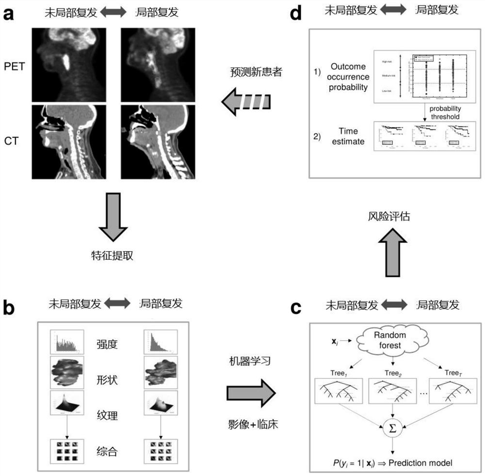 A local recurrence prediction device for head and neck cancer