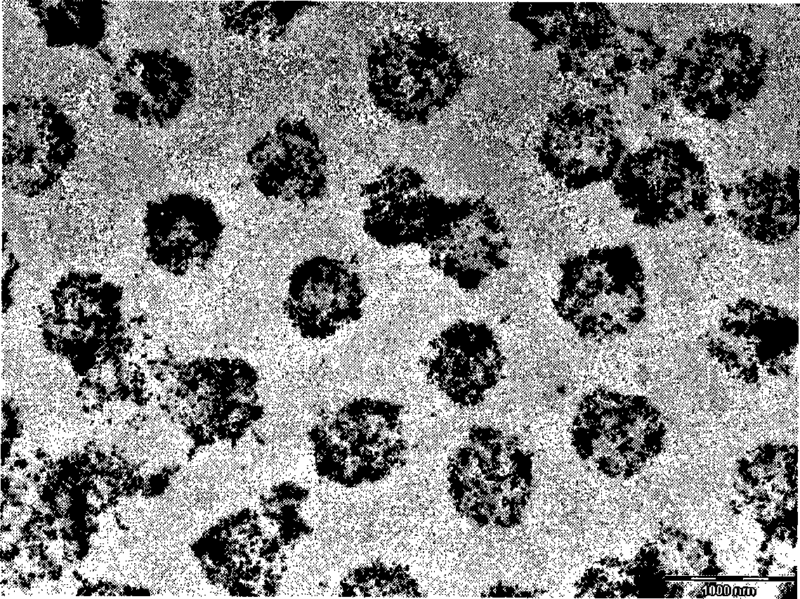 Nano-particle compound and preparation method thereof