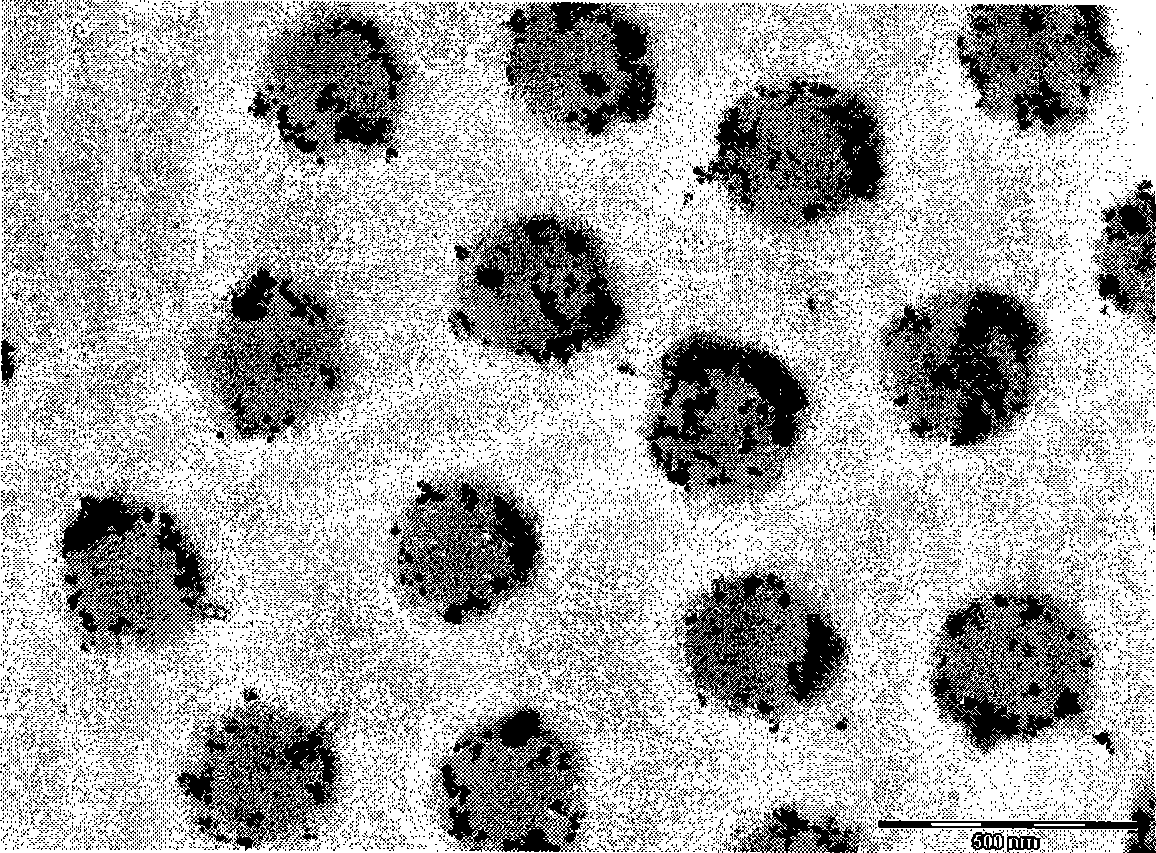 Nano-particle compound and preparation method thereof