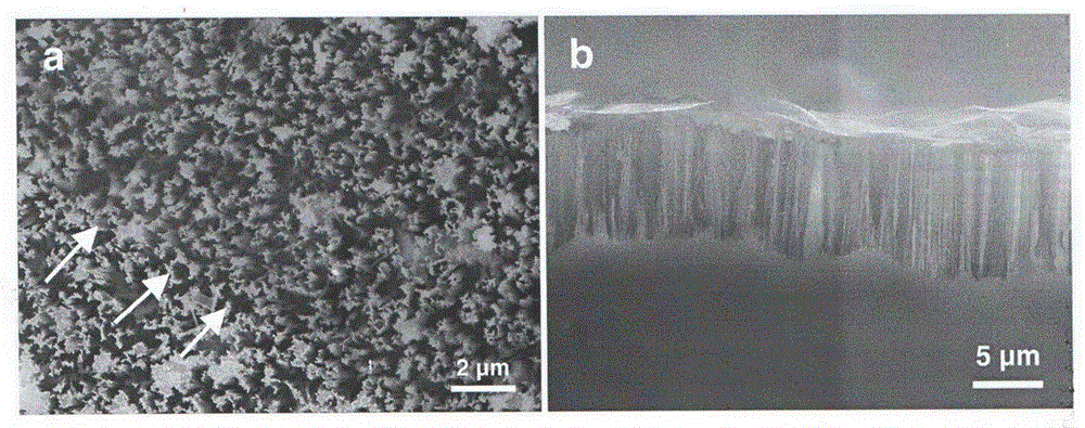 Preparation method and application of schottky junction explosive atmosphere sensing material