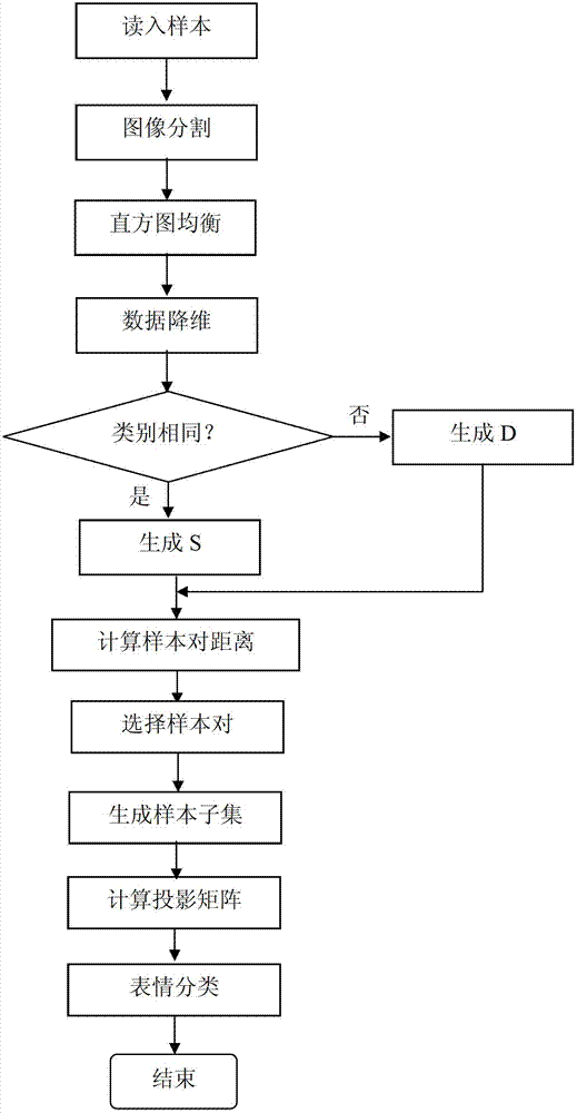 Facial expression recognition algorithm based on discriminative component analysis