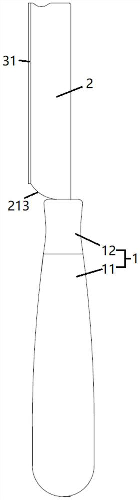 Cutter body with replaceable blade and cutter