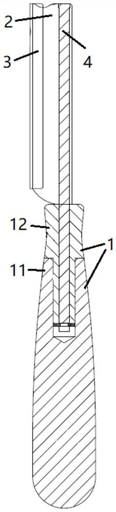 Cutter body with replaceable blade and cutter