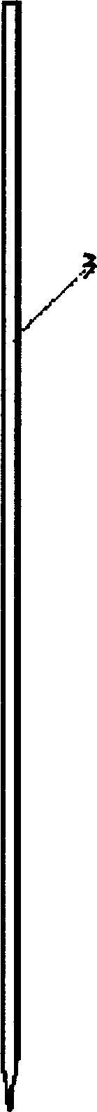 Expanding type spongy bone hollow screw