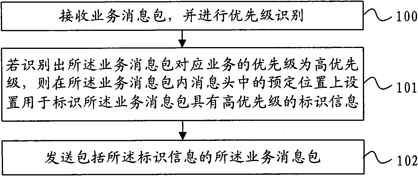 Service packet processing method, service packet processing device and network system