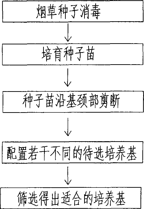 Method for screening root media by using tobacco sterile seedlings