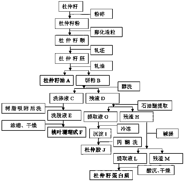 Method of comprehensively extracting grease, proteins, aucubin, and eucommia ulmoides gum from eucommia seeds