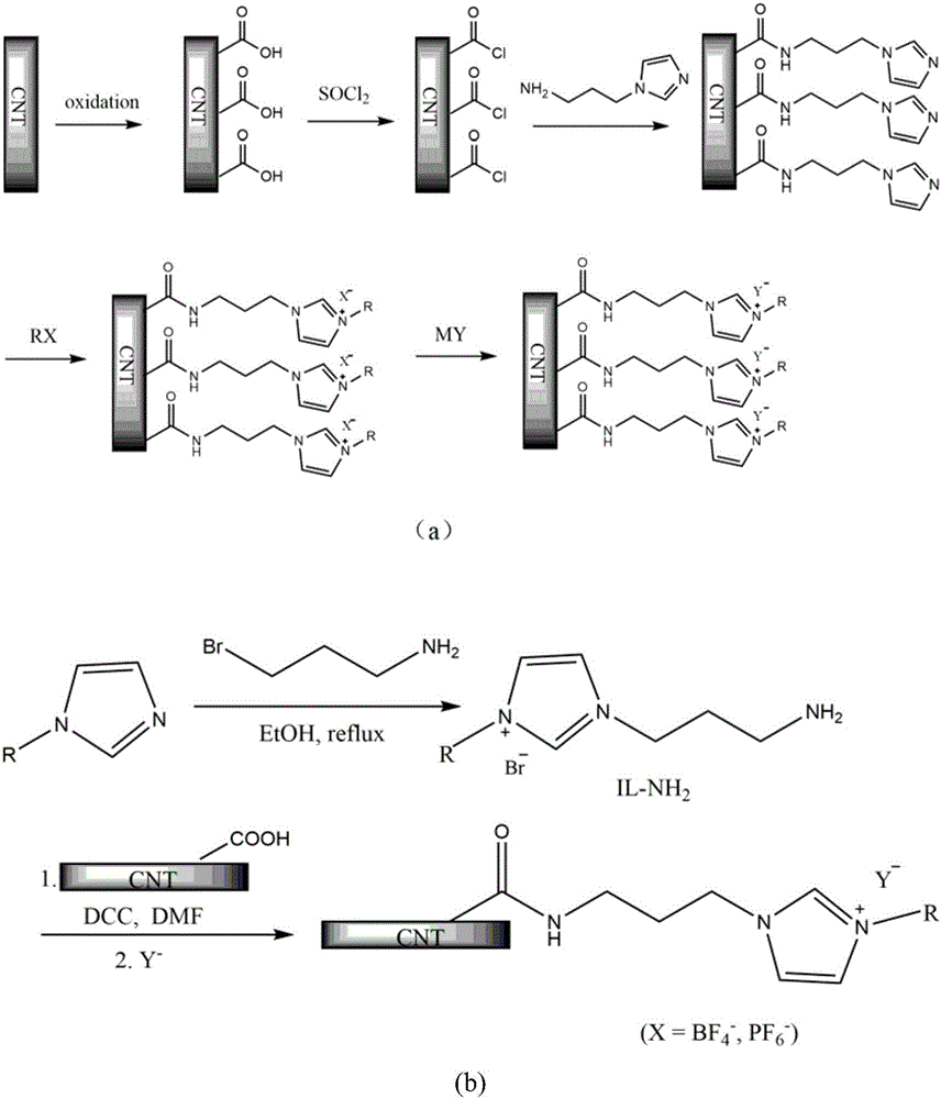 Functionalized ionic liquid-modified carbon nanotube and method for immobilizing lipase through carbon nanotube