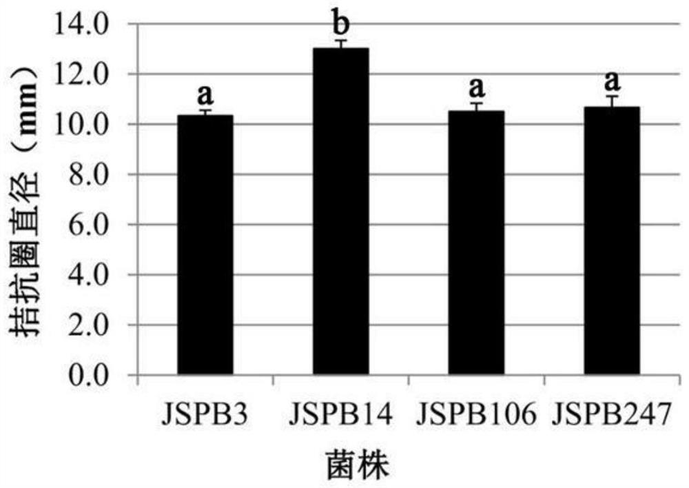 A kind of bacillus amyloliquefaciens jspb14 and its application