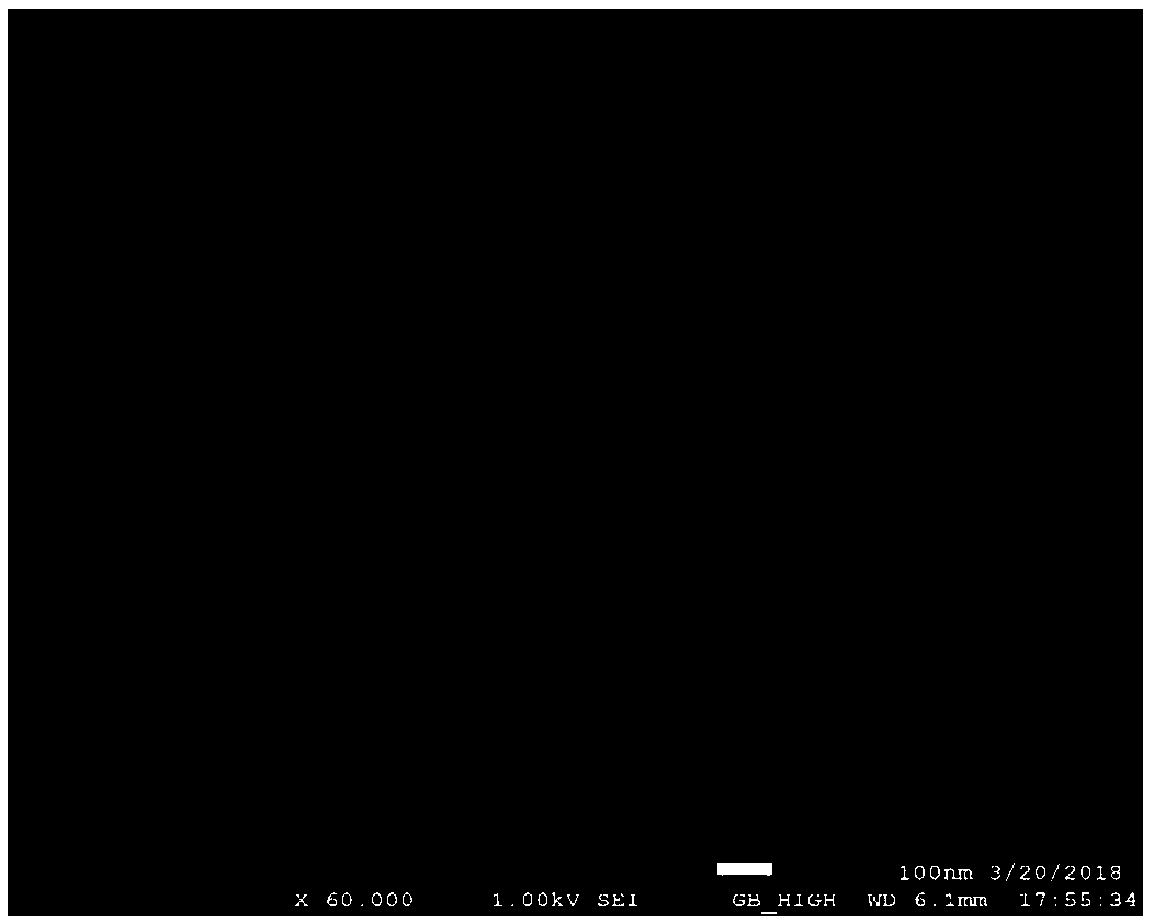 MOF-100(Fe)/bacterial cellulose composite material and preparation method and application thereof