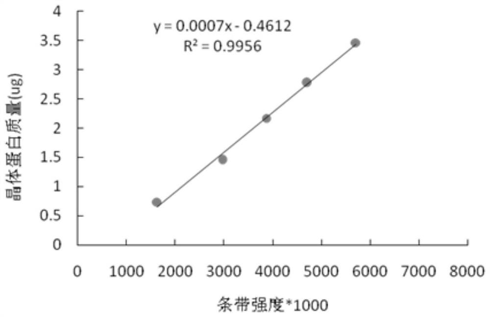 A quantitative detection method for Bacillus thuringiensis subsp. israeli toxin protein