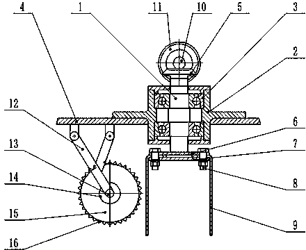 Vertical seeding band cleaner