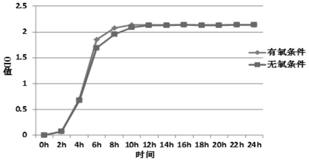 A canine Pediococcus lactis and its application