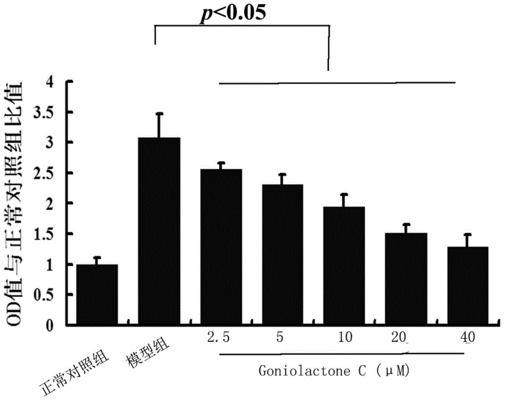 Application of goniolactones C to suppressing proliferation and migration of vascular smooth muscle cells