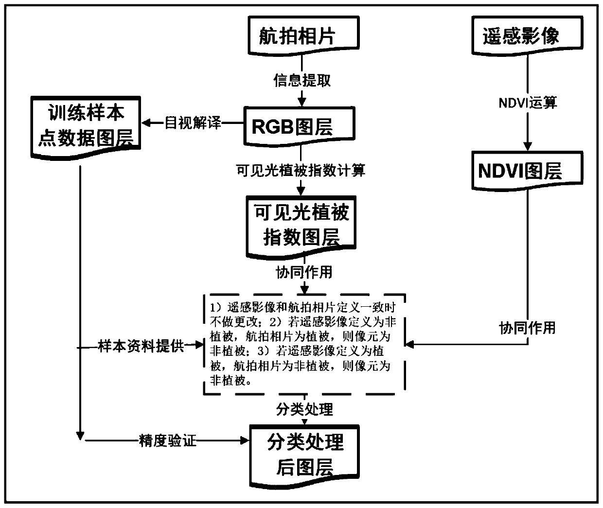 Aerial photo vegetation information extraction method cooperating with remote sensing image