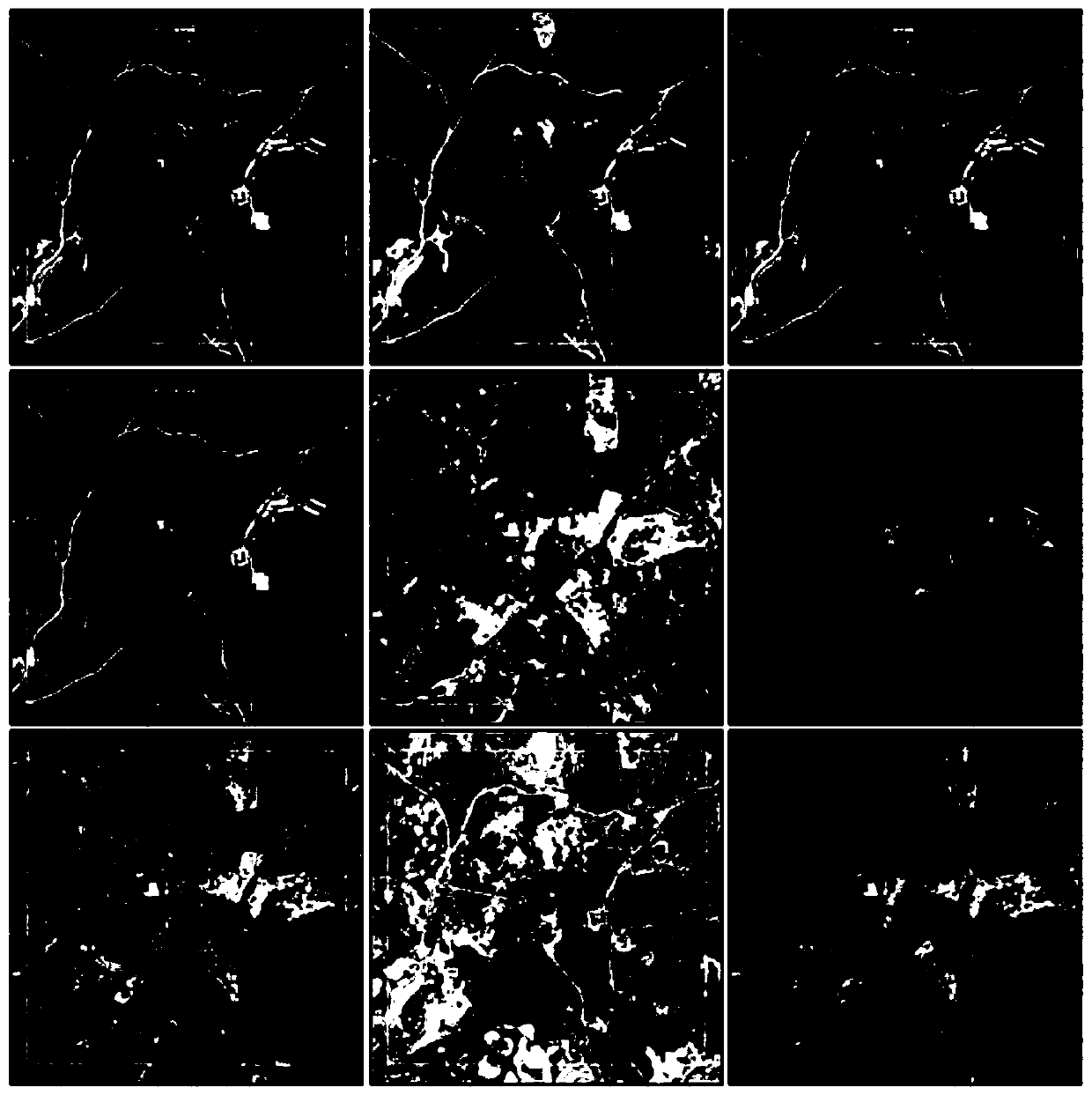 Aerial photo vegetation information extraction method cooperating with remote sensing image