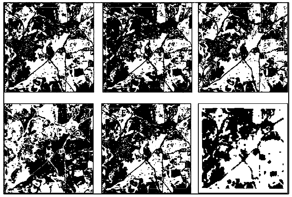 Aerial photo vegetation information extraction method cooperating with remote sensing image