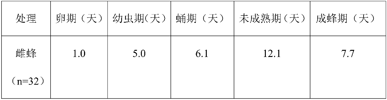 Manual scaled feeding method for diglyphus wani Liu, Zhu & yefremova sp. nov.