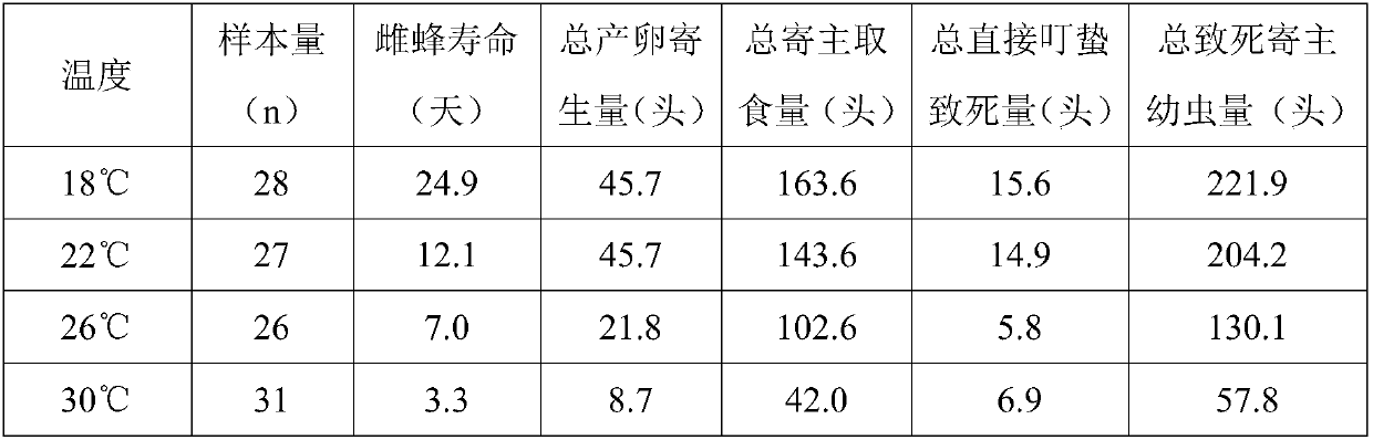 Manual scaled feeding method for diglyphus wani Liu, Zhu & yefremova sp. nov.