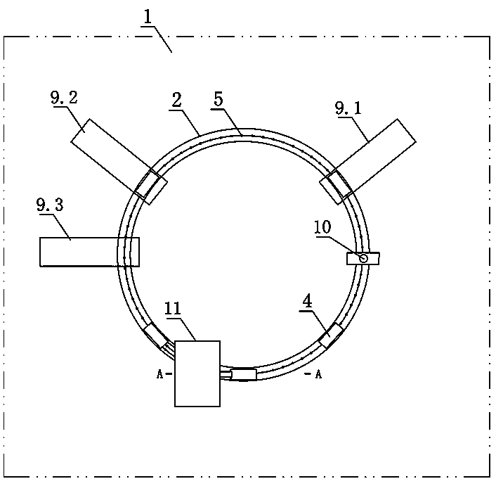 Fancy carp automatic sorting system