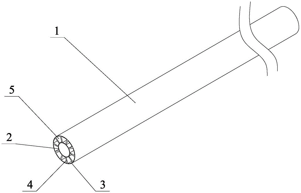 double layer straw