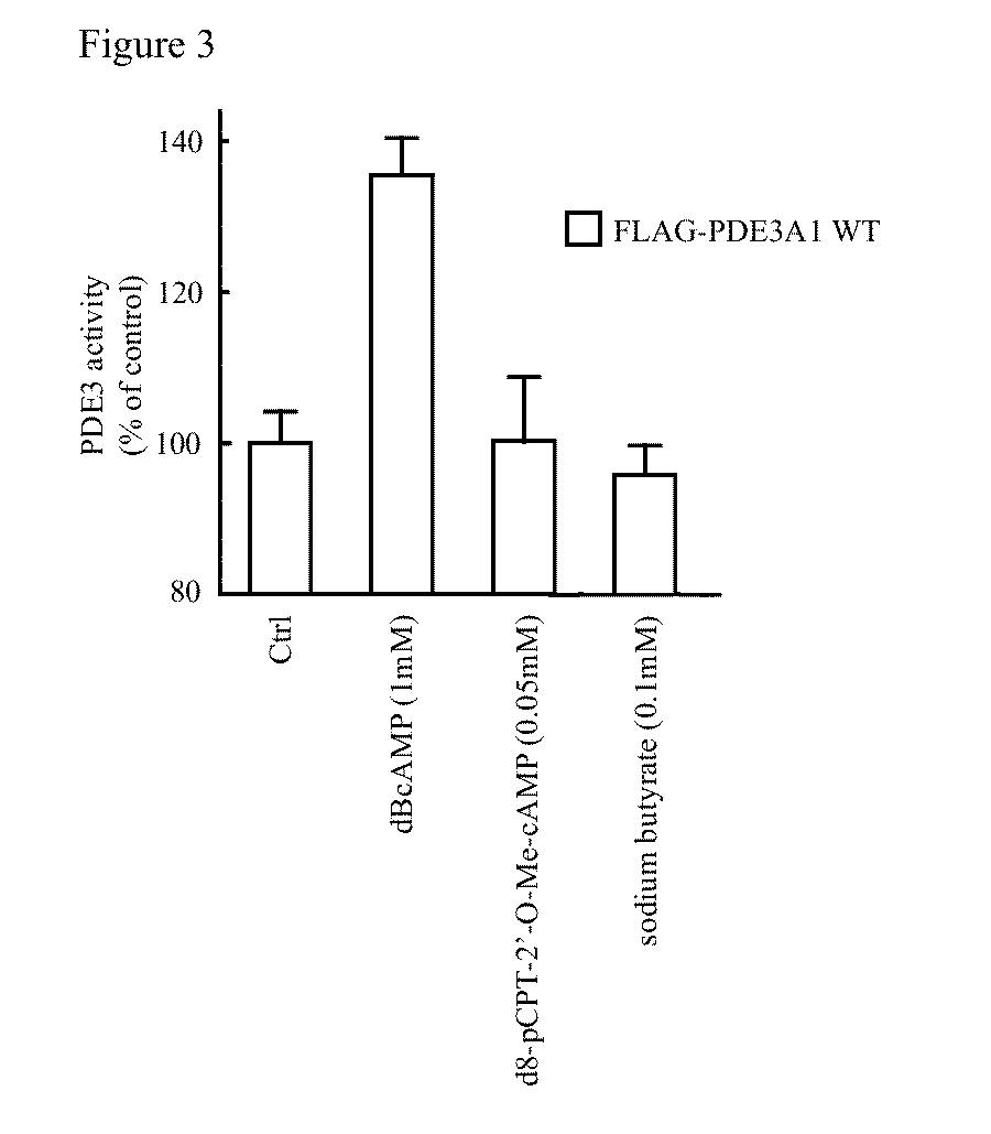 Isoform-selective inhibitors and activators of pde3 cyclic nucleotide phosphodiesterases