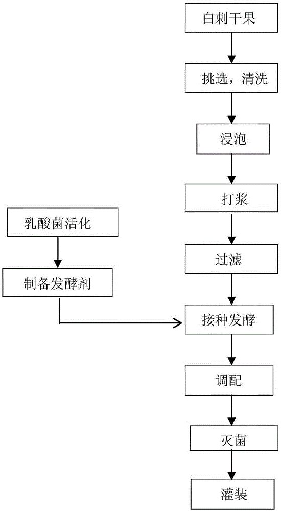 Nitraria sibirica Pall lactobacillus fermented beverage and preparation method thereof