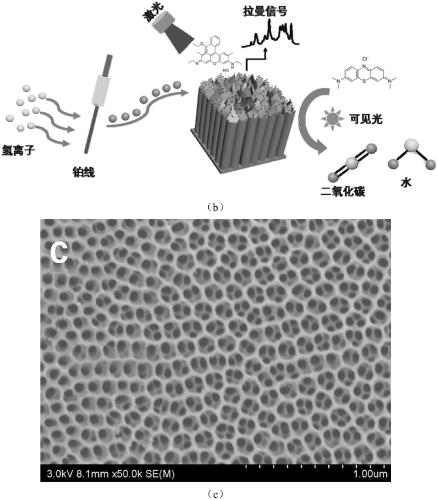 Preparation method of titanium dioxide nanotube arrays modified with boundary sites of pt-loaded sulfur-rich molybdenum disulfide