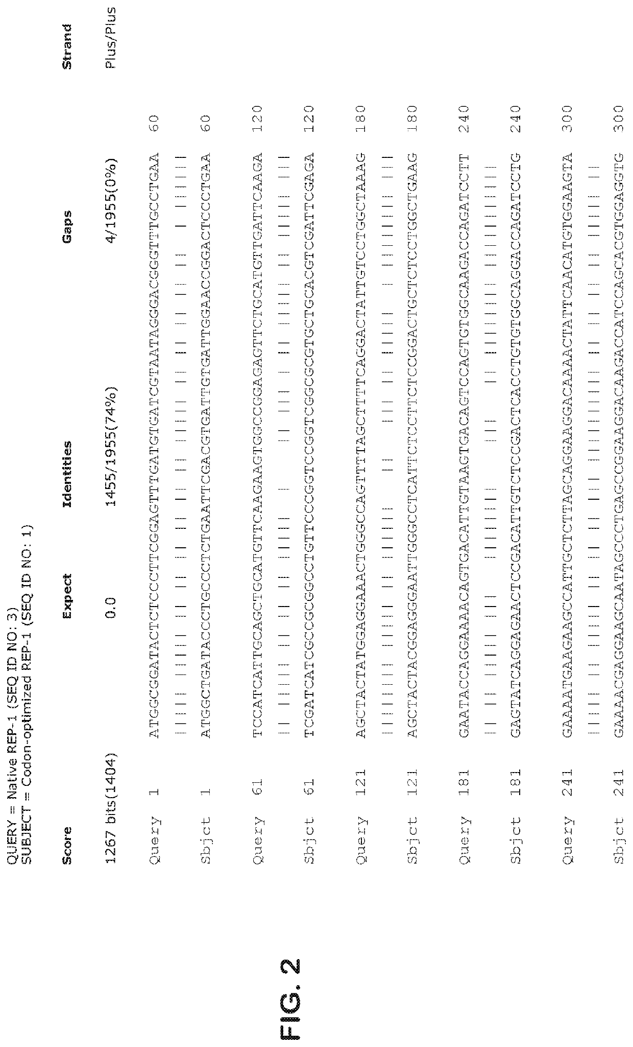 Gene therapy for ocular disorders