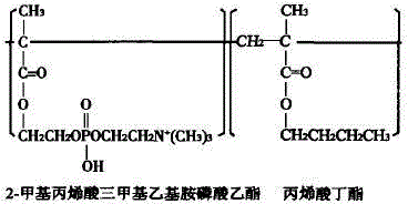 Cationic nano emulsion with anti-allergic effect and preparation method of cationic nano emulsion