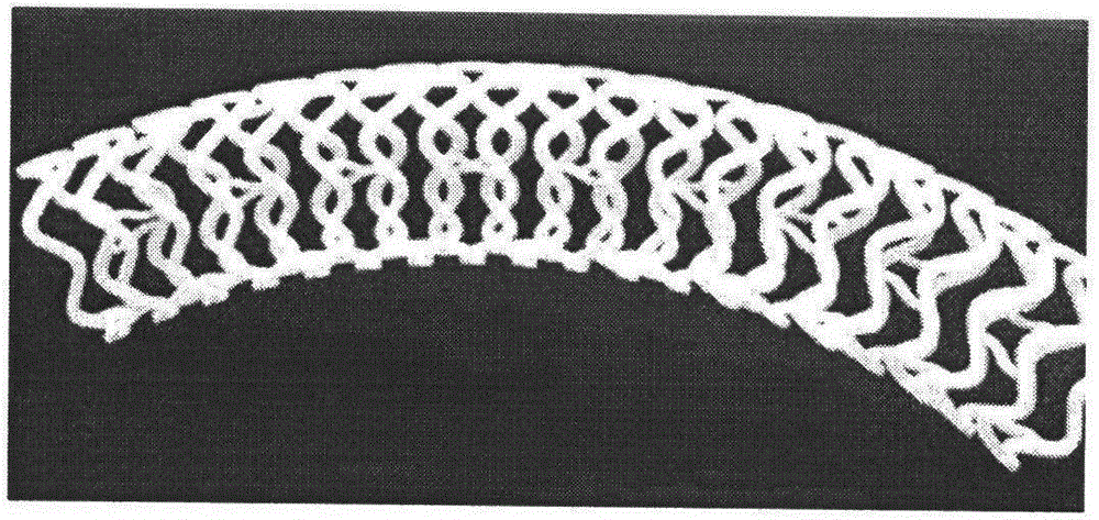 Biodegradable stent composite