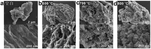 Sulfur-nitrogen-doped porous biochar, preparation method and application