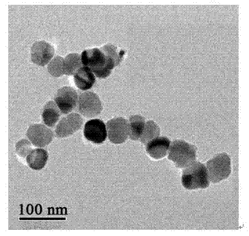 Fe3O4 nano-microsphere and preparation method thereof