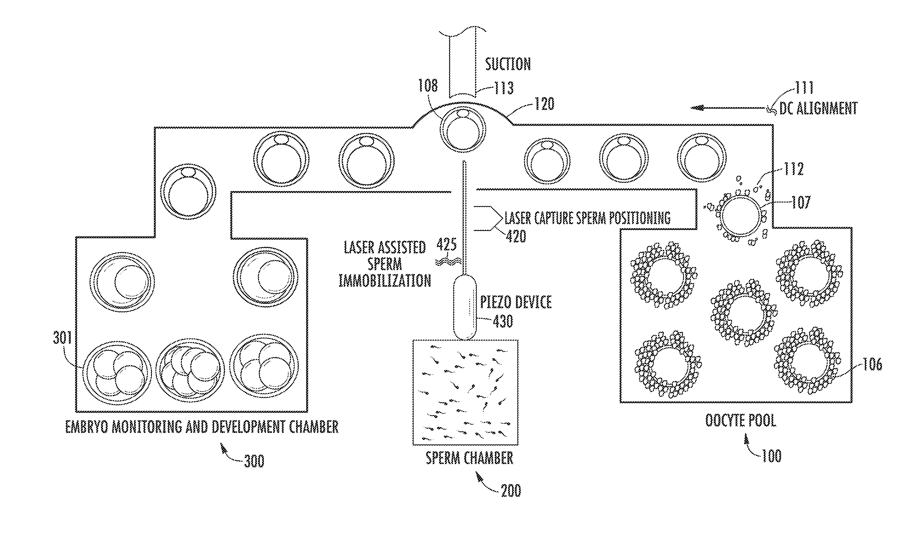 Automated intracytoplasmic sperm injection assisted fertilization system