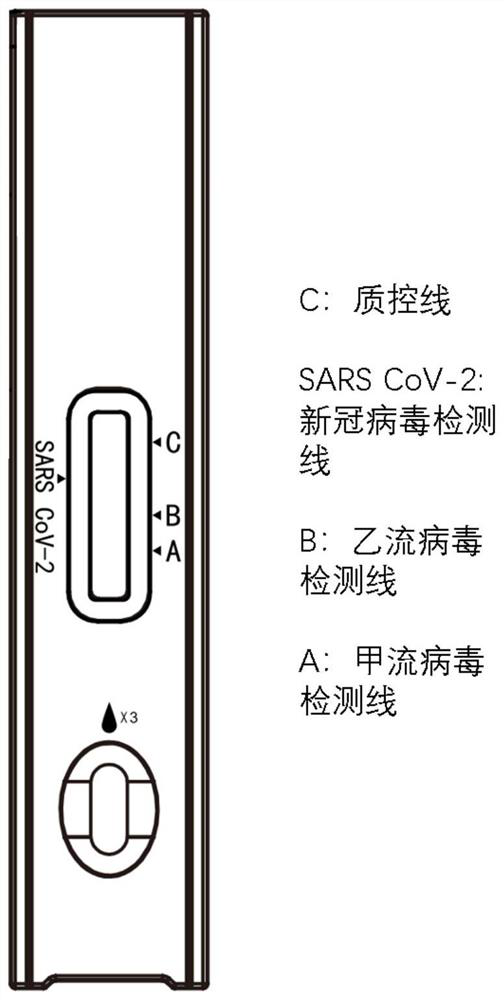 Immunochromatography detection reagent strip, kit containing immunochromatography detection reagent strip and application of immunochromatography detection reagent strip