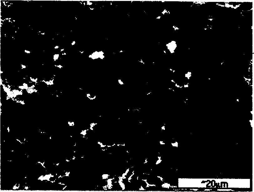 Method for preparing two-phase granular mixed reinforced magnesium alloy based composite material