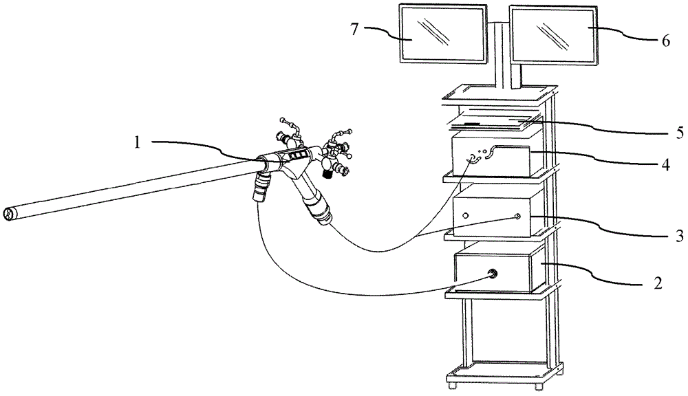 Vaginoscope system with night vision function