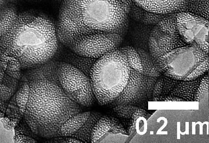 Preparation method of multi-stage nanopore electrode material of lithium ion battery