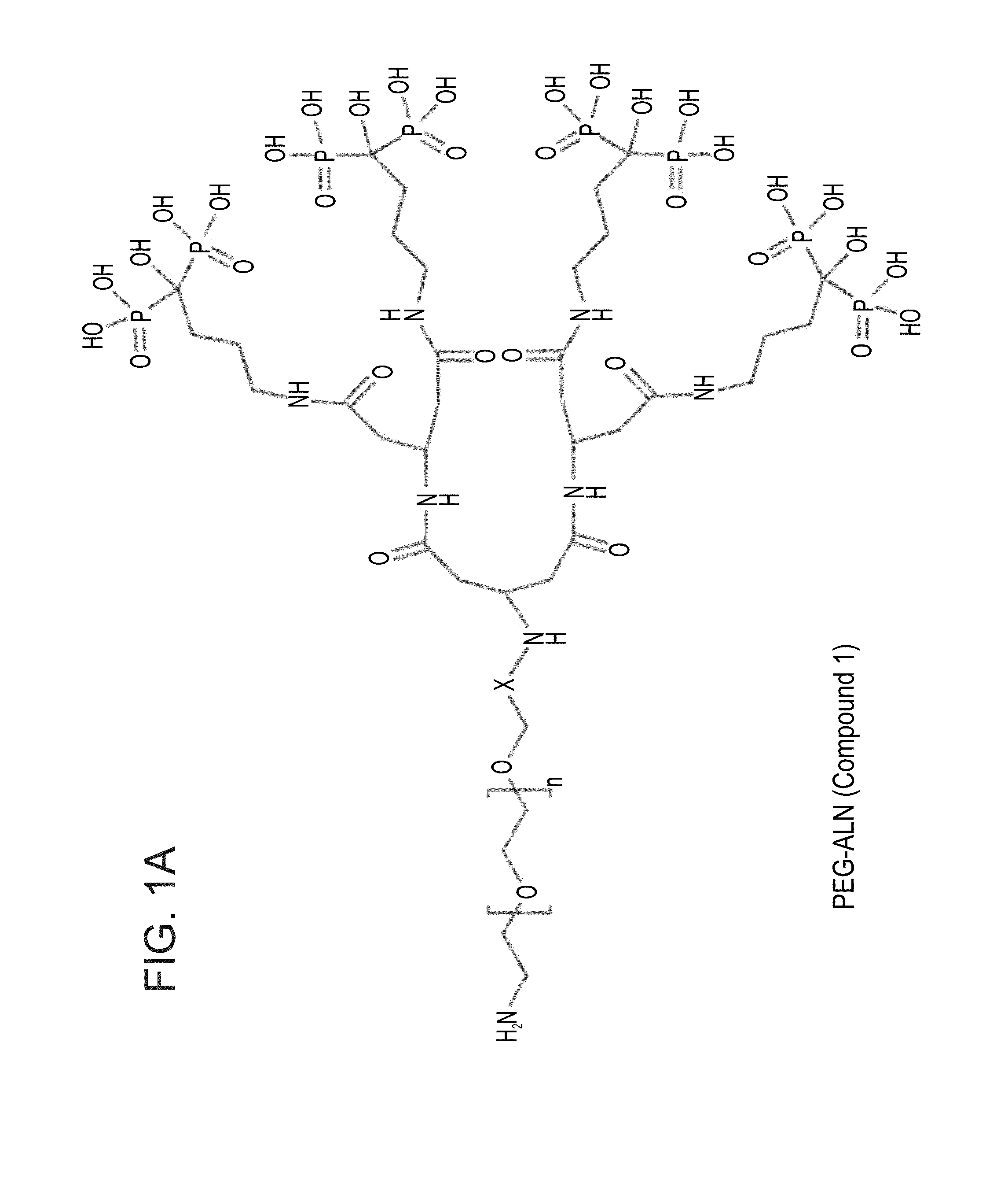 Targeted polymeric conjugates and uses thereof