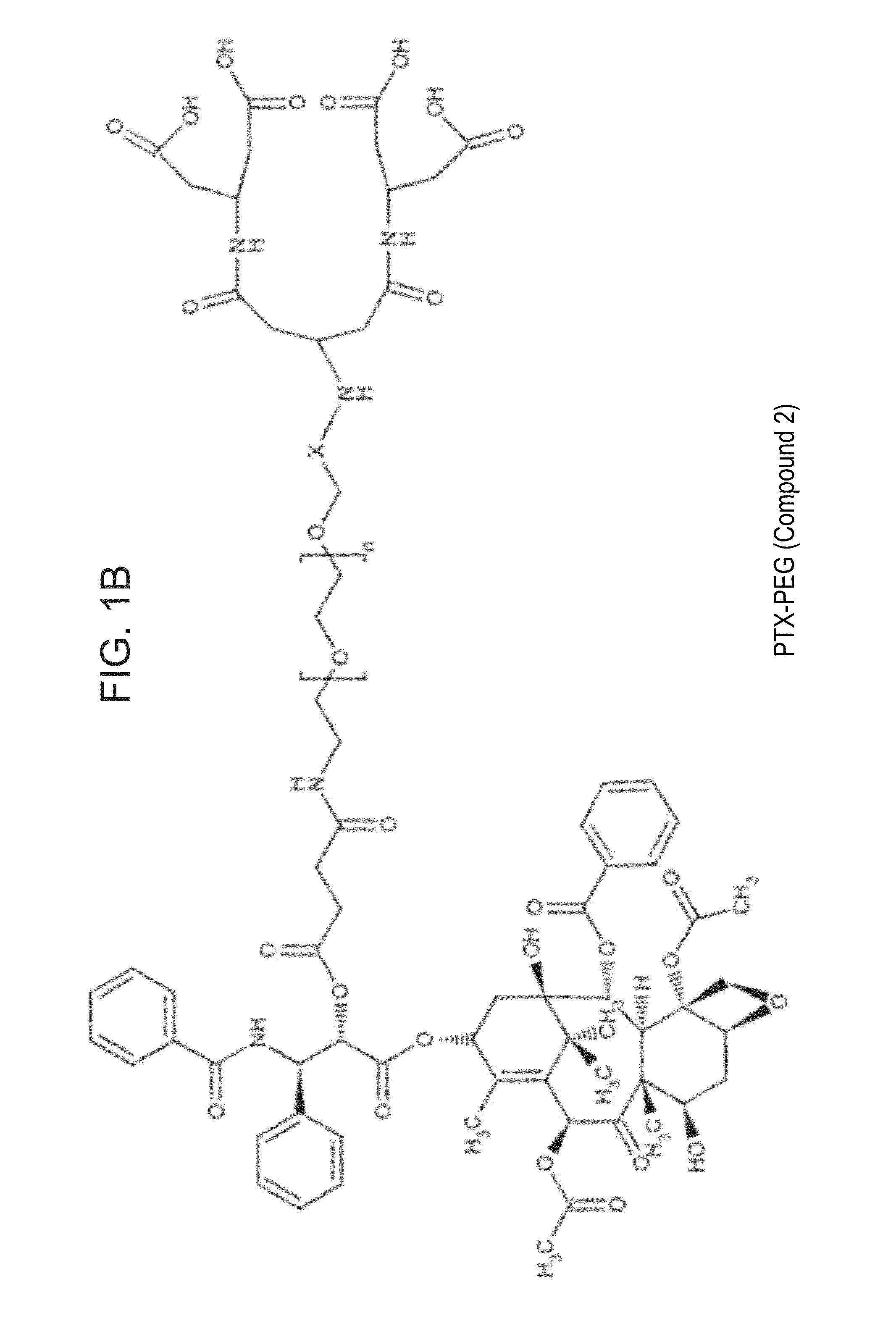 Targeted polymeric conjugates and uses thereof